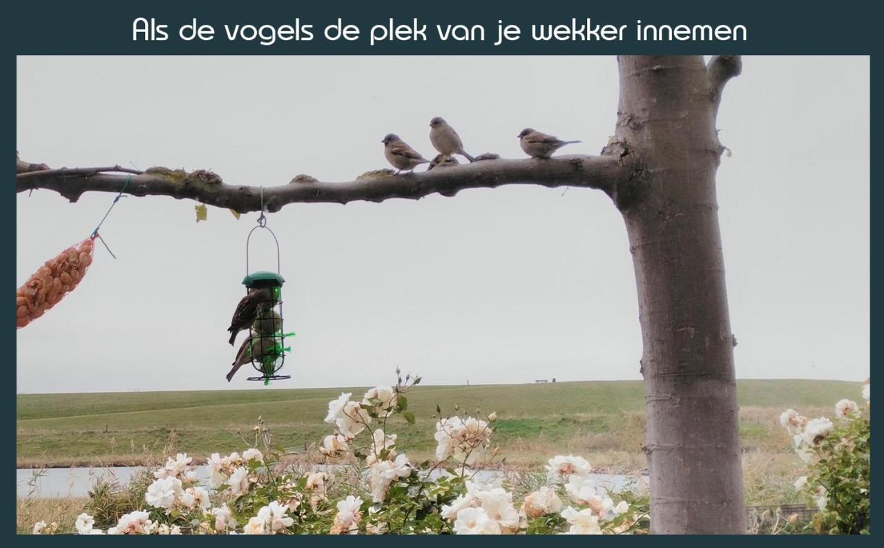 Vakantiewoning Deltahof Ellewoutsdijk エクステリア 写真