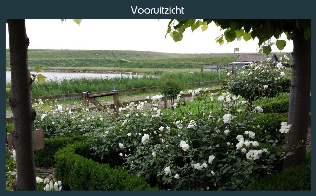 Vakantiewoning Deltahof Ellewoutsdijk エクステリア 写真