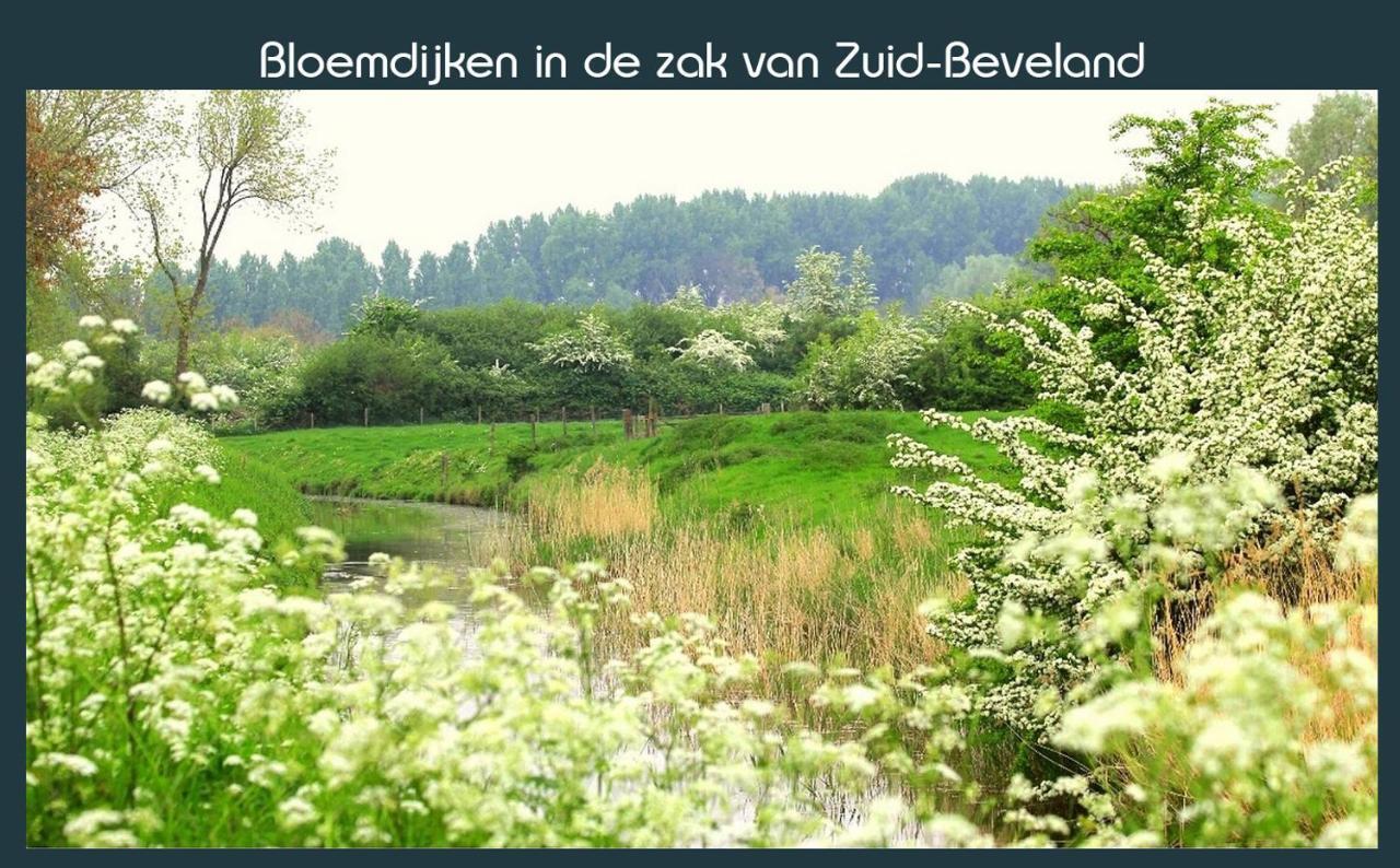 Vakantiewoning Deltahof Ellewoutsdijk エクステリア 写真