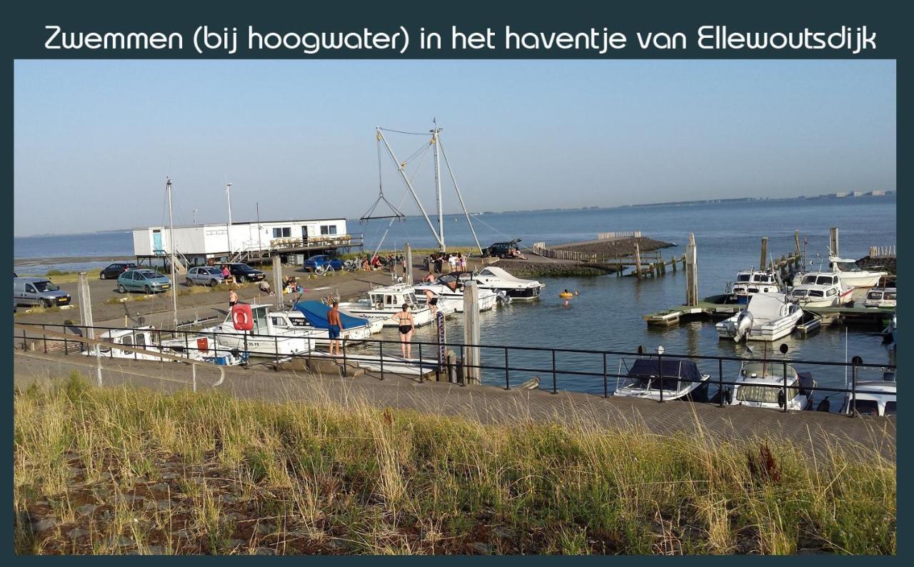 Vakantiewoning Deltahof Ellewoutsdijk エクステリア 写真