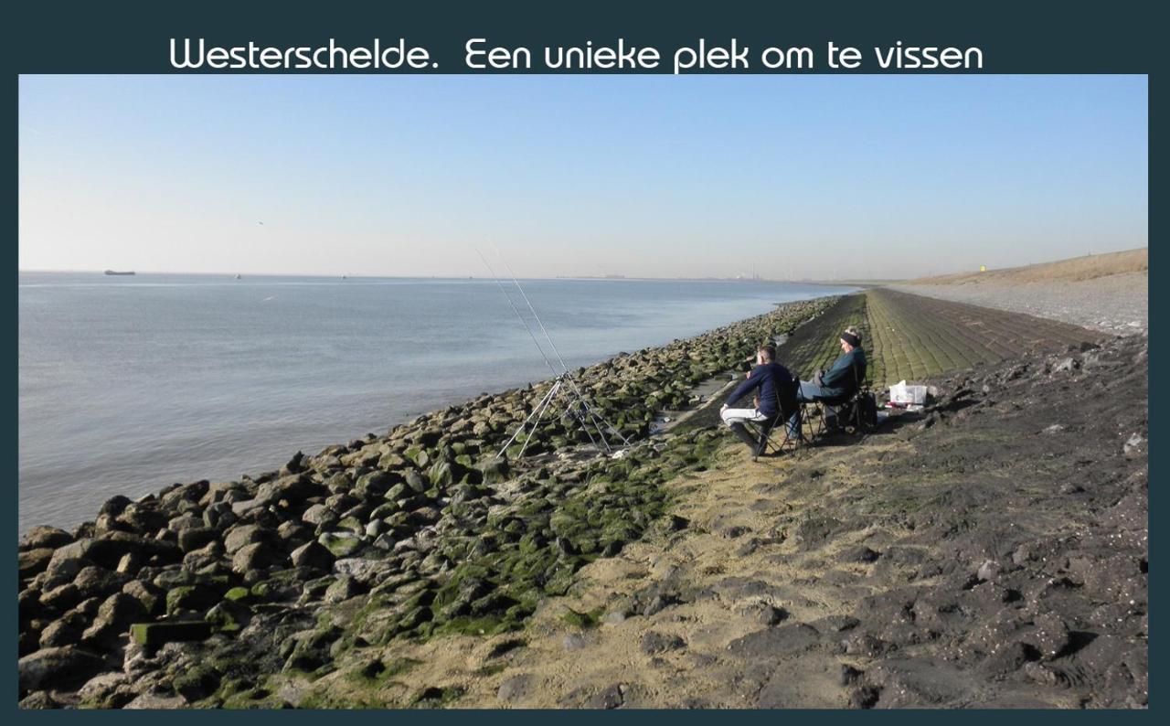 Vakantiewoning Deltahof Ellewoutsdijk エクステリア 写真